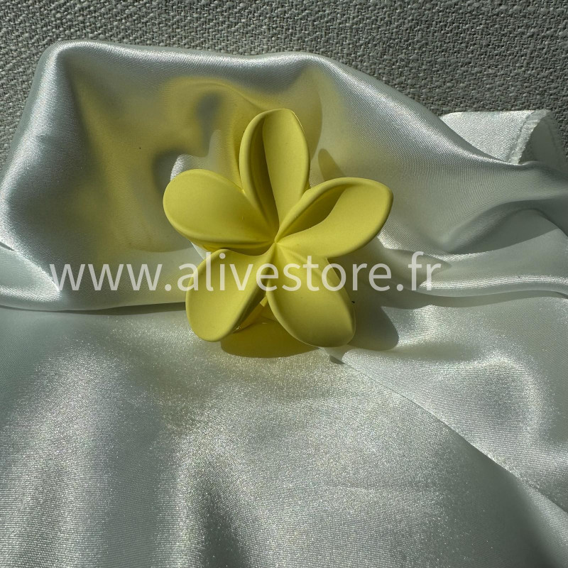 Pince fleur pour cheveux – Coloris été 2025 | Alive Store